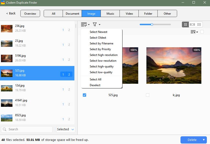 duplicates are selected for deletion