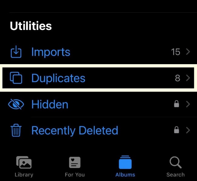 Duplicates Found iOS 16