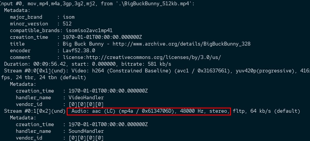 using ffprobe to check audio format in advance