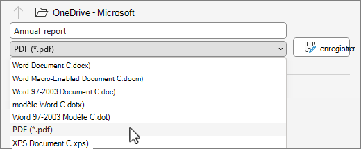 transformer un PDF en word MS