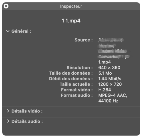 repair mp4 on quicktime 02