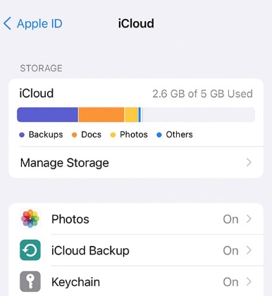 check iCloud storage on iPhone