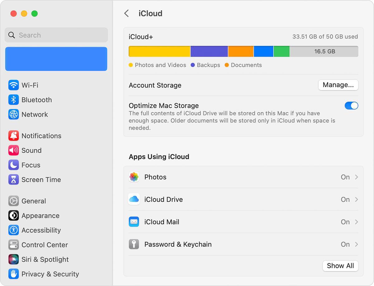 check iCloud storage on Mac