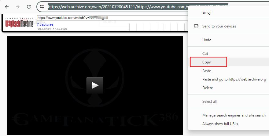 download youtube private videos with archived video page