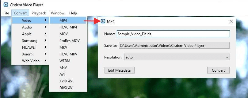 convert ogv to mp4 in video player