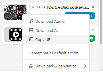 additional options of JW Player video download extension