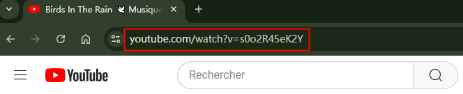 copier l'url de youtube