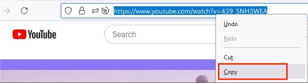 copy video URL