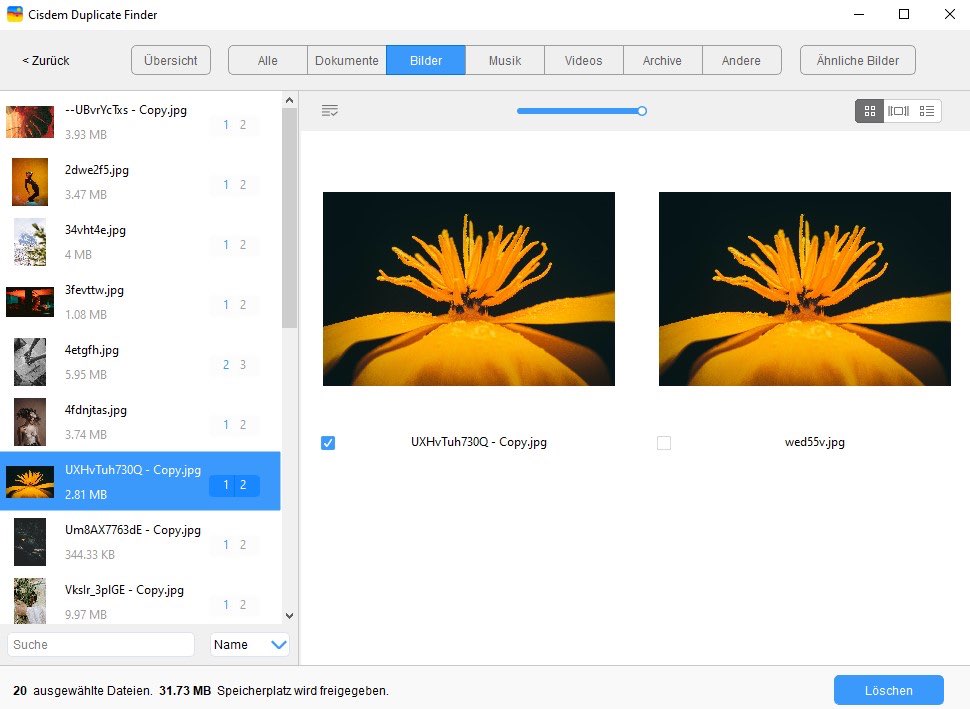 the results window showing several tabs, and the Image tab showing several sets of duplicate photos