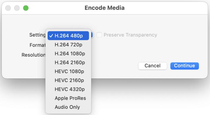 encode media window