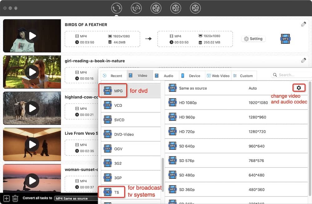 choose a mpeg2 format