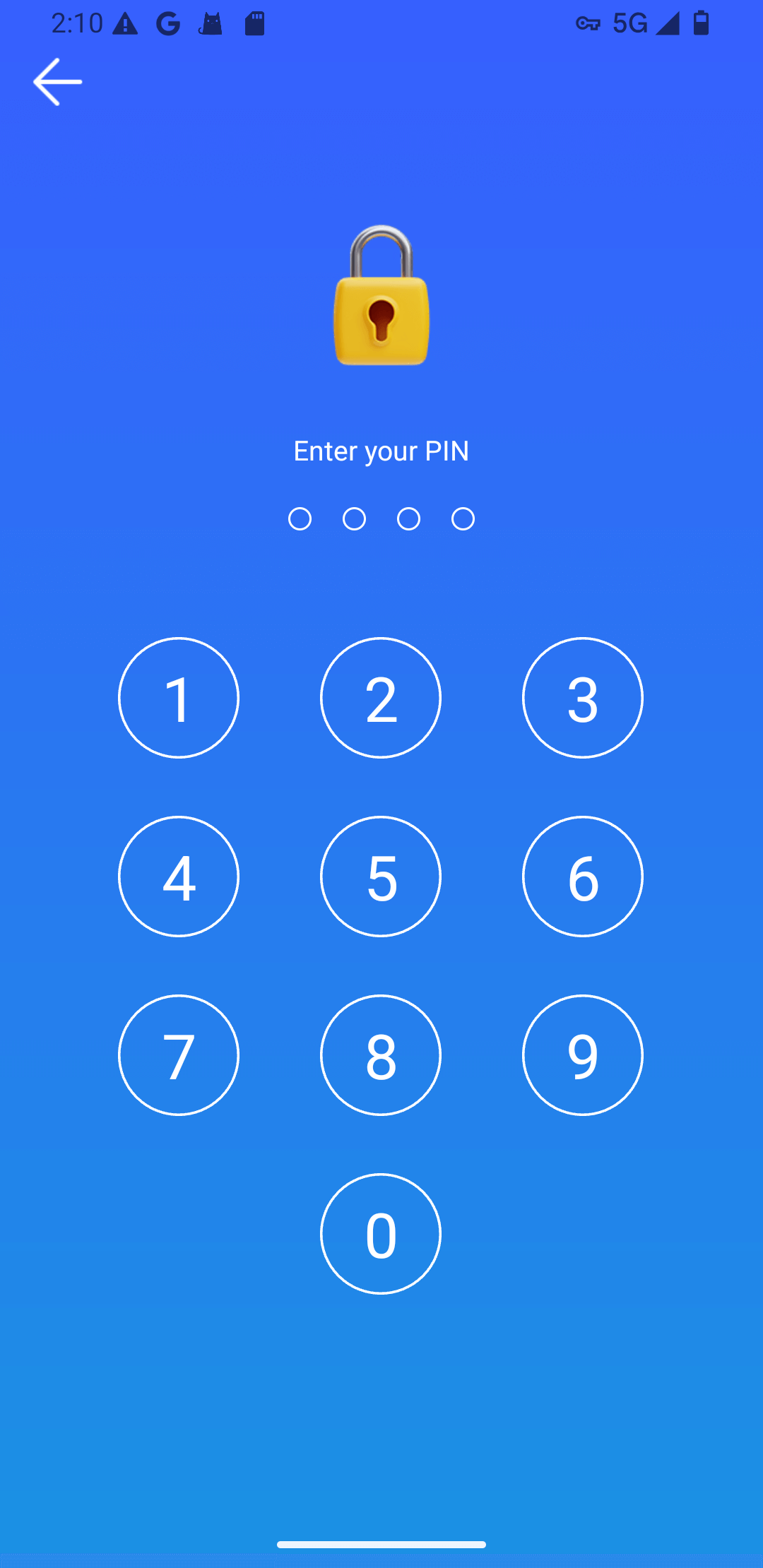 a password entry screen