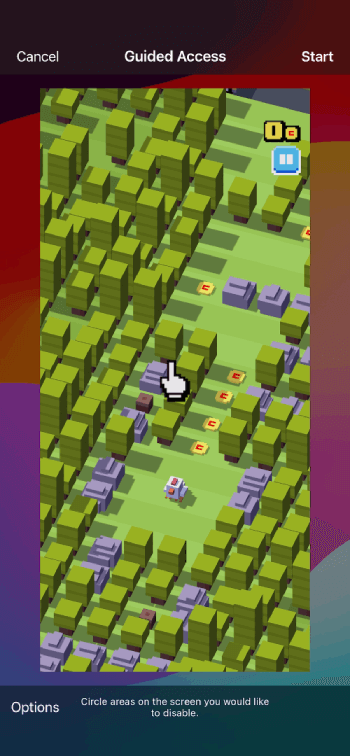 a screen showing Guided Access and Start at the top