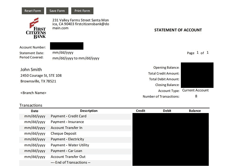 redacted bank statement example