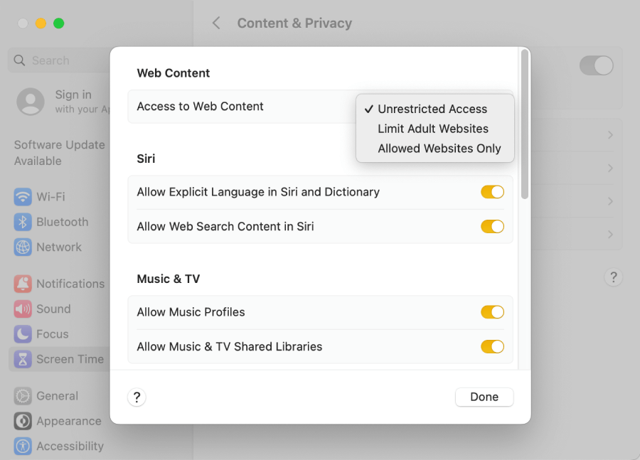 the Web Content section showing three options for Access to Web Content, with one being Limit Adult Websites