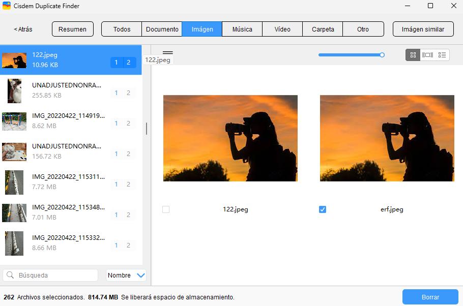 Se encuentran y muestran archivos duplicados