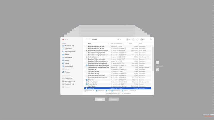 retrouver historique effacé safari avec time machine 04