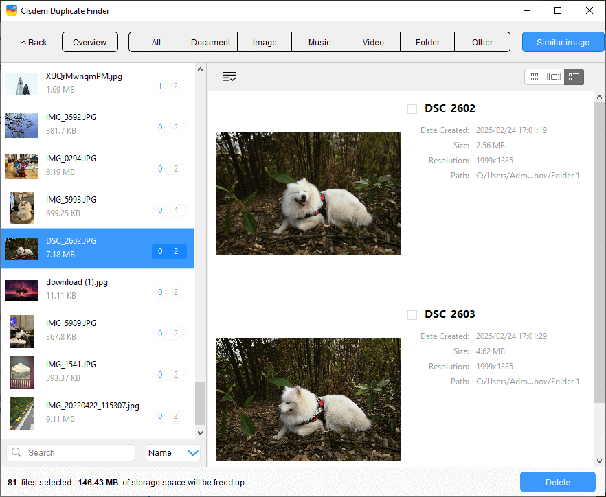 Similar image tab showing two similar photos of a dog