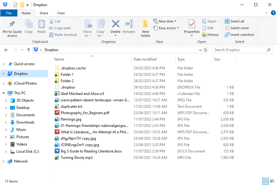 a File Explorer windows showing the Dropbox folder and files within it