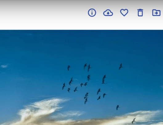 recover myspace photobucket 04