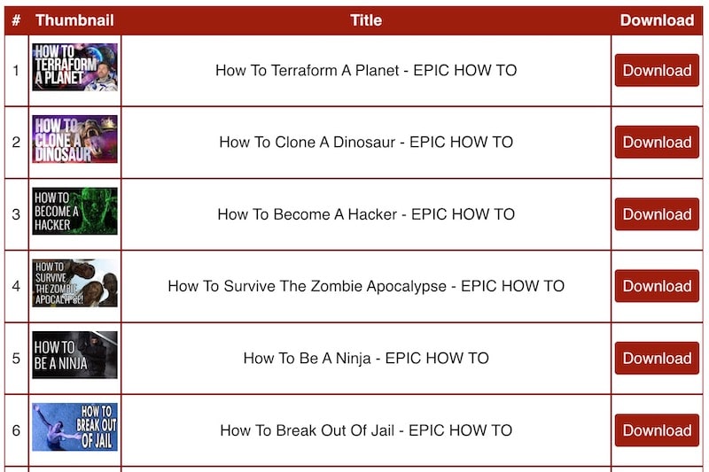 youtubemultidownloader download options
