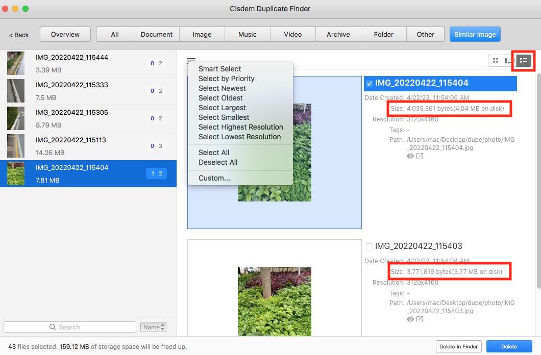 view details of the detected similar images