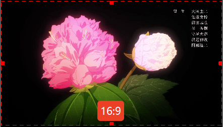 16:9(ワイド比率)