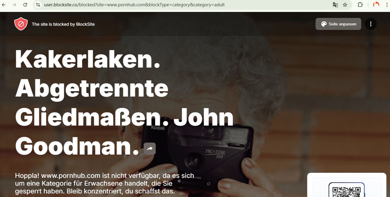 blockieren Sie Websites für Erwachsene über die Erweiterung 02