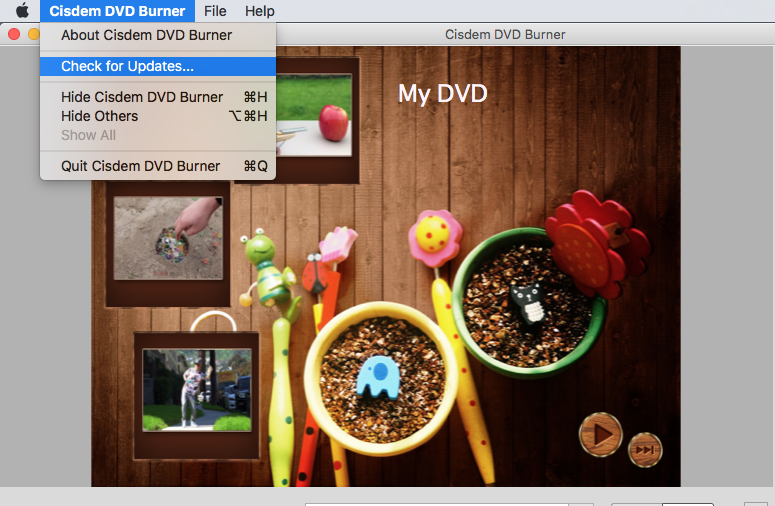 for ipod instal Cisdem DVD Burner