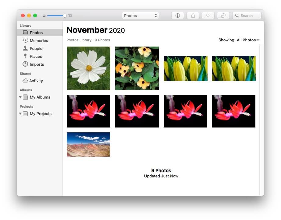 find duplicate photos mac photos app